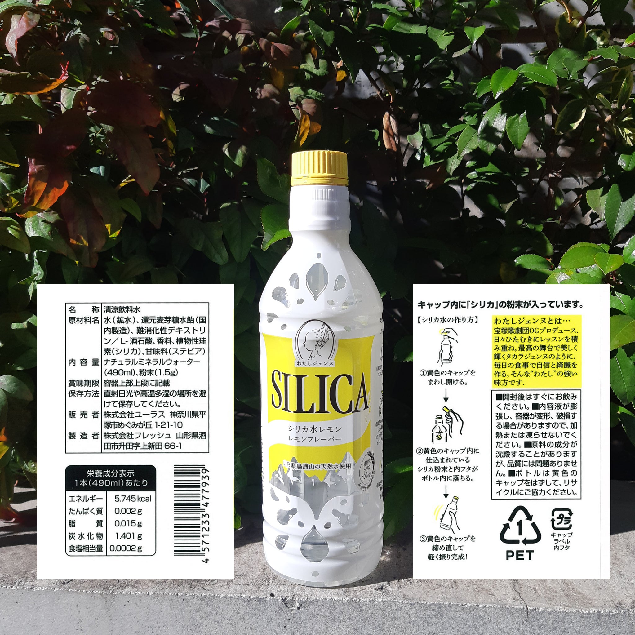 8/23まで30%OFF！＞宝塚歌劇団OGプロデュース わたしジェンヌ シリカ水レモン490ml×24本 – 宝塚OGサポーターズクラブ